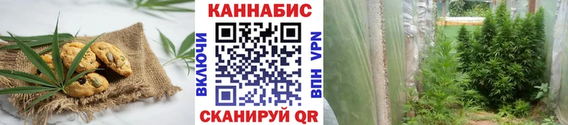 ссылка на мегу маркетплейс  Касимов  Еда ТГК марихуана 