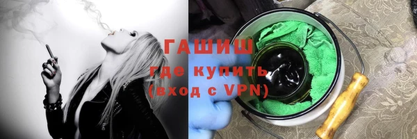 хмурый Новозыбков