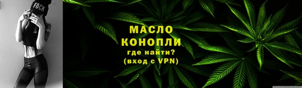 хмурый Новозыбков