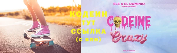 хмурый Новозыбков