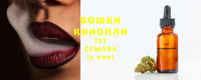 хмурый Новозыбков