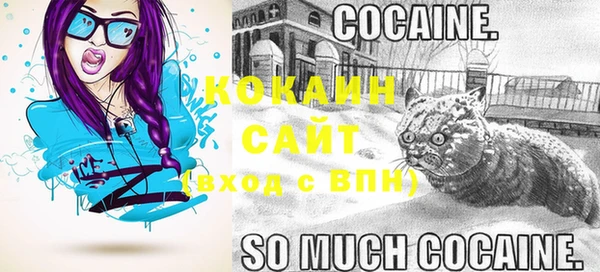 скорость Няндома