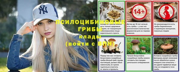 МДМА Новодвинск