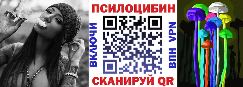 Псилоцибиновые грибы мицелий  наркошоп  Касимов 