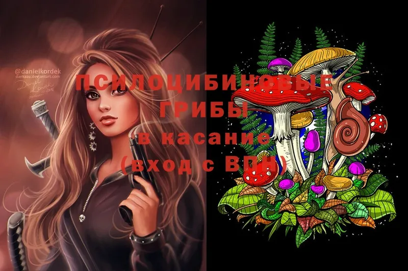 Галлюциногенные грибы Magic Shrooms  Касимов 