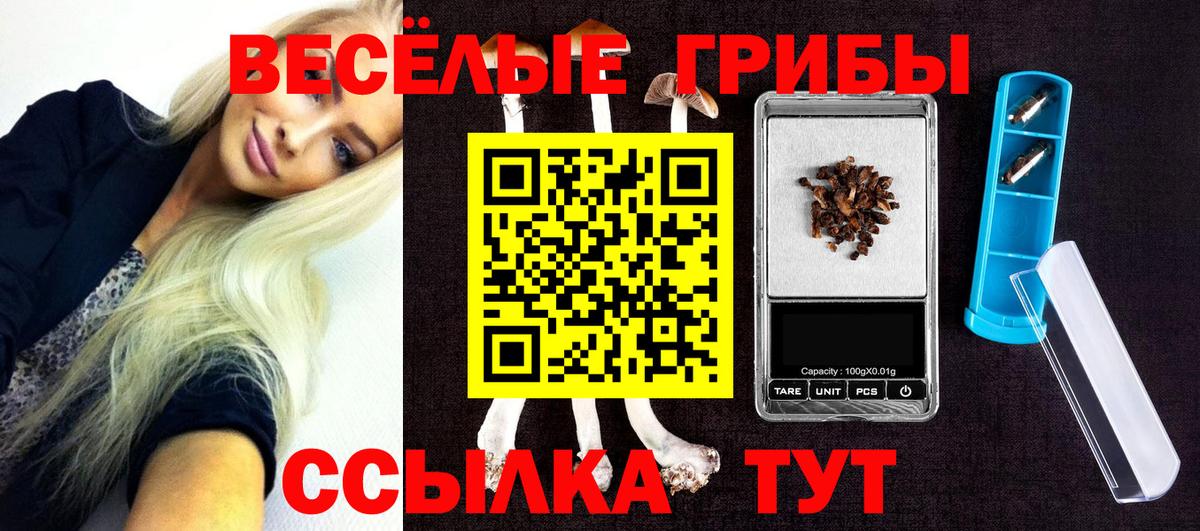 Галлюциногенные грибы Magic Shrooms Касимов