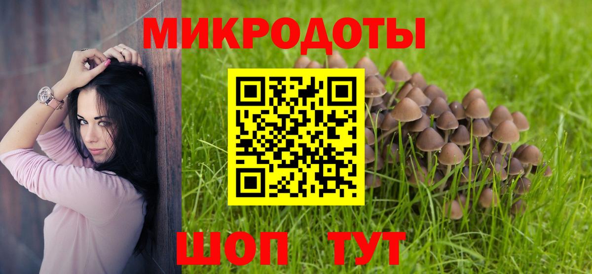 Псилоцибиновые грибы мухоморы  Галлюциногенные грибы мухоморы  Касимов 