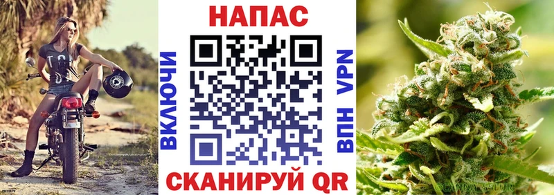 где купить наркоту Касимов МАРИХУАНА семена