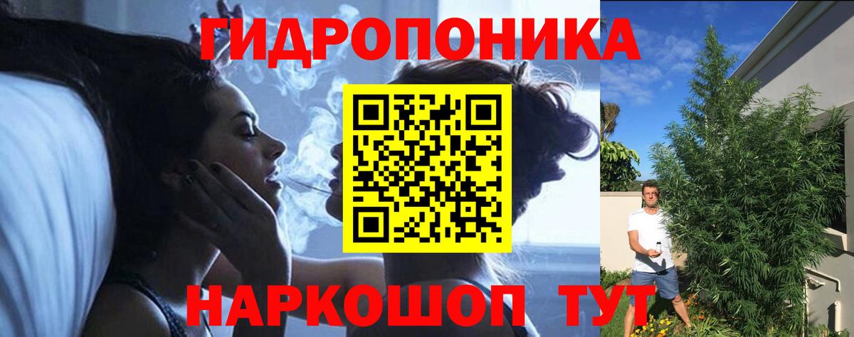 Марихуана план Касимов