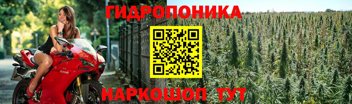 Шишки марихуана семена  МАРИХУАНА Ganja  Вход с VPN  Бошки марихуана AK-47  Касимов 